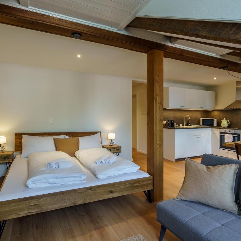 Heart of Interlaken Apartments - Monolocale Superior - 35