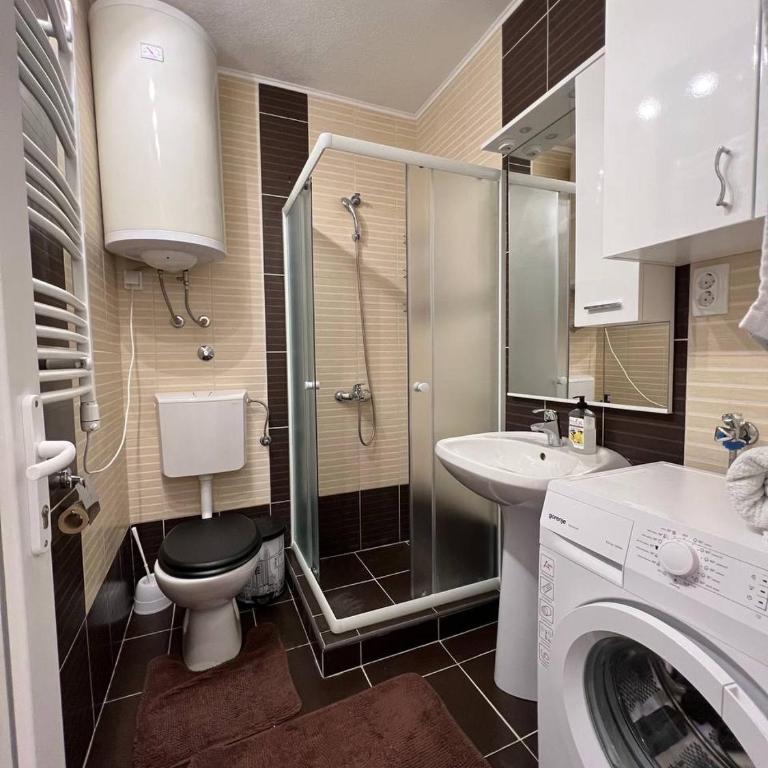 Apartmani Komatina Đenovići 2 - One-Bedroom Apartment - 13