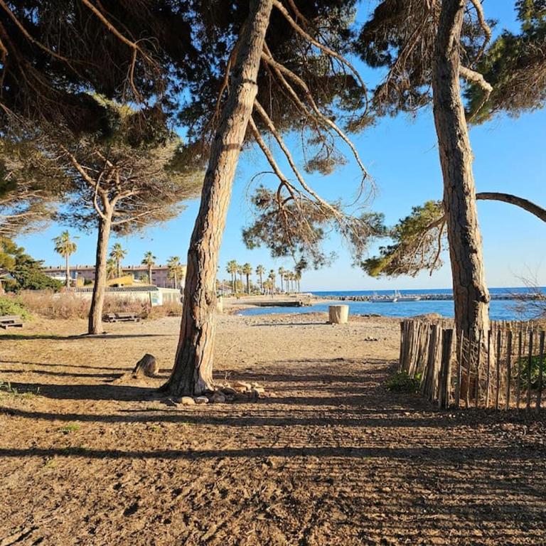 Petit paradis classé 3 étoiles à 200m de la plage! Terrasse-Wifi-Parking-clim - Studio mit Terrasse - 38