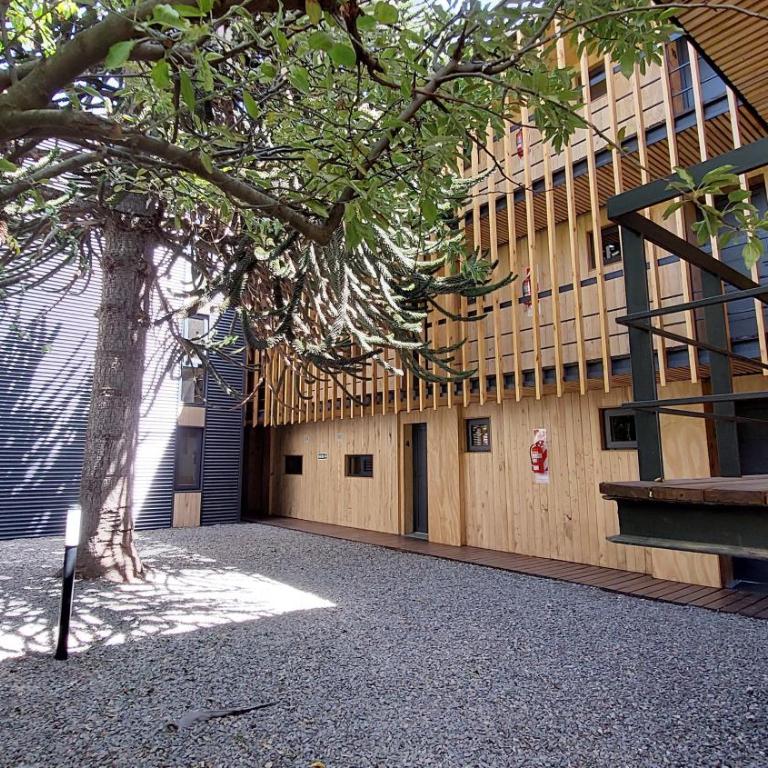 Hermoso monoambiente de diseño único, con patio, en el centro de SMA. 4v5 - Apartamento de 1 dormitorio - 27