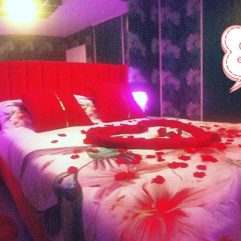 Romantisme et glamour 2 avec spa , clim et jardin - Appartamento con 1 Camera da Letto - 42