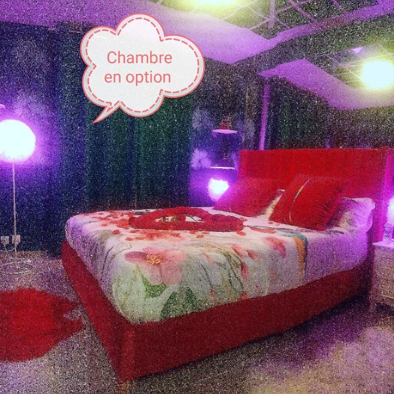 Romantisme et glamour 2 avec spa , clim et jardin - Appartamento con 1 Camera da Letto - 40