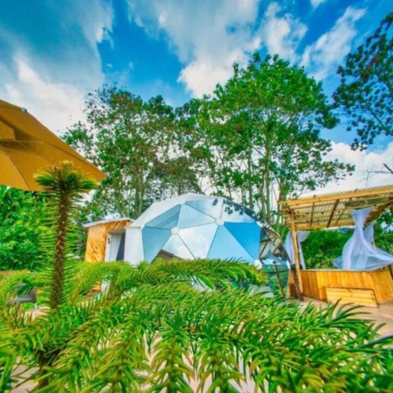 Wallaby Glamping - Domo Deluxe - Tienda - 1
