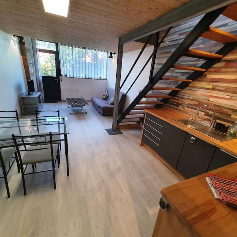APPARTEMENT CENTRE VILLE AU CALME JARDIN et PARKING PUBLIC - Maison 1 Chambre - 6