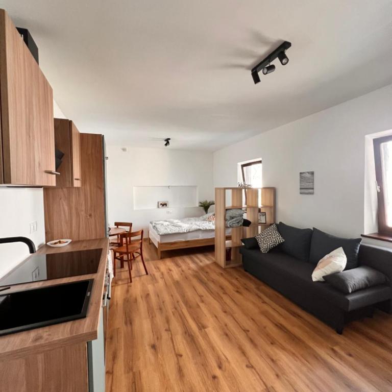 Perfekte Lage! Ganze Wohnung Burgblick Residenz - Apartment mit 1 Schlafzimmer - 15