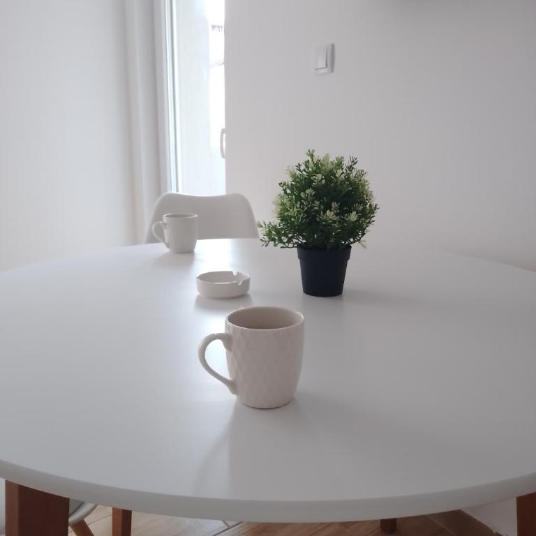 Apartmani Kale - Apartman sa Terasom - 10