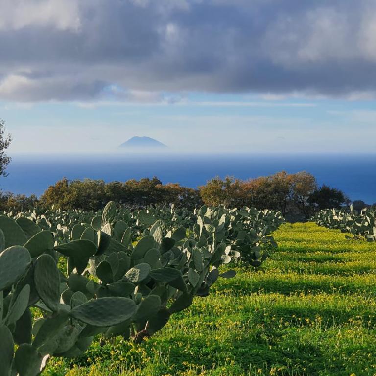 SERINA TROPEA - Two-Bedroom Apartment - 28