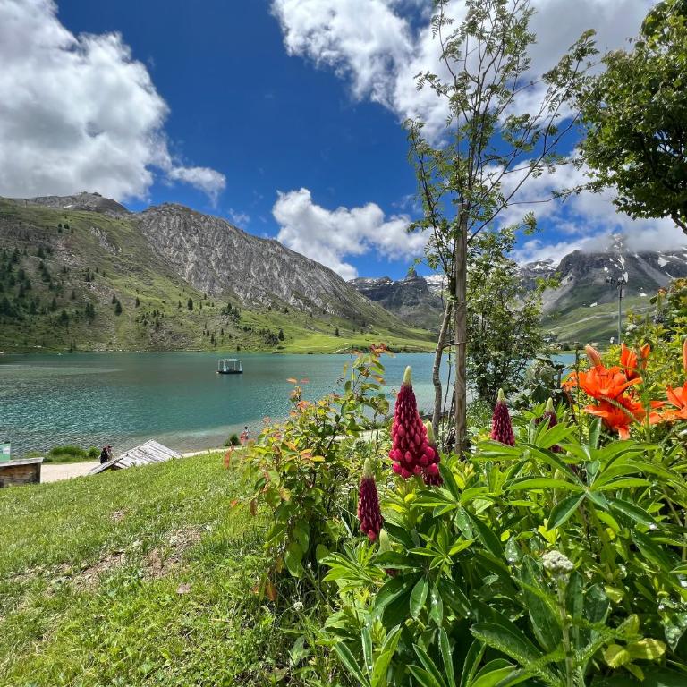 MyHome - Génépis 9 - Studio rénové Tignes Val Claret 4 pax sks aux pieds - Appartamento con 1 Camera da Letto - 25