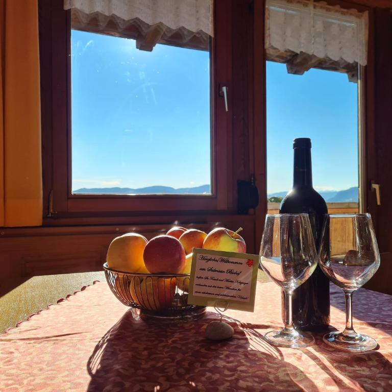 Salmsein Biohof - Appartamento con Vista Montagna - 5