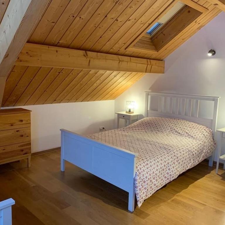 CHALET 16 PERS PROCHE DES PISTES - Chalet - 15