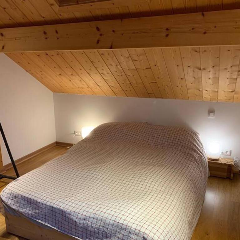 CHALET 16 PERS PROCHE DES PISTES - Chalet - 25