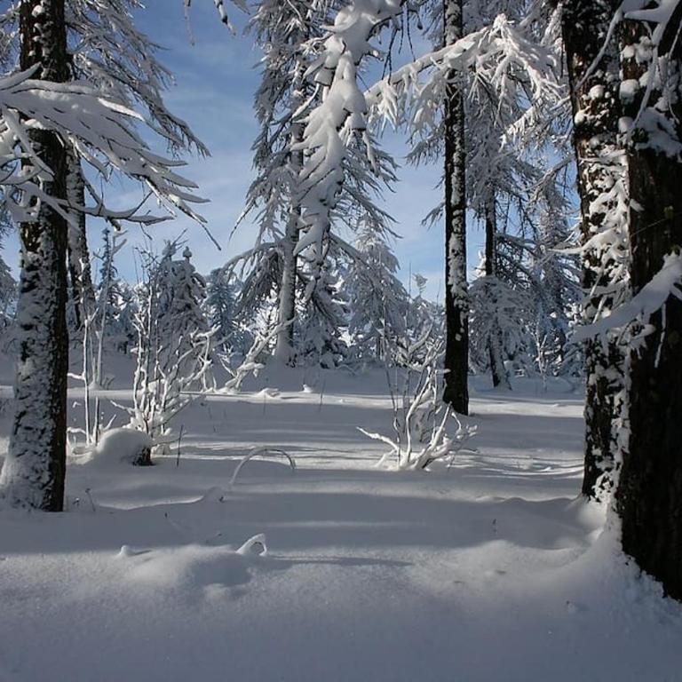 CHALET 16 PERS PROCHE DES PISTES - Chalet - 30
