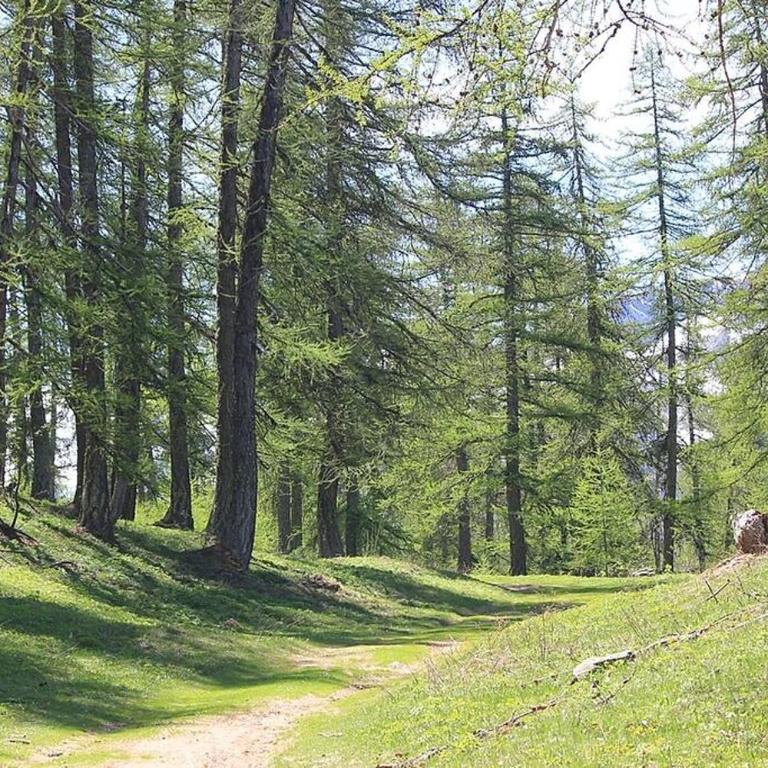 CHALET 16 PERS PROCHE DES PISTES - Chalet - 31