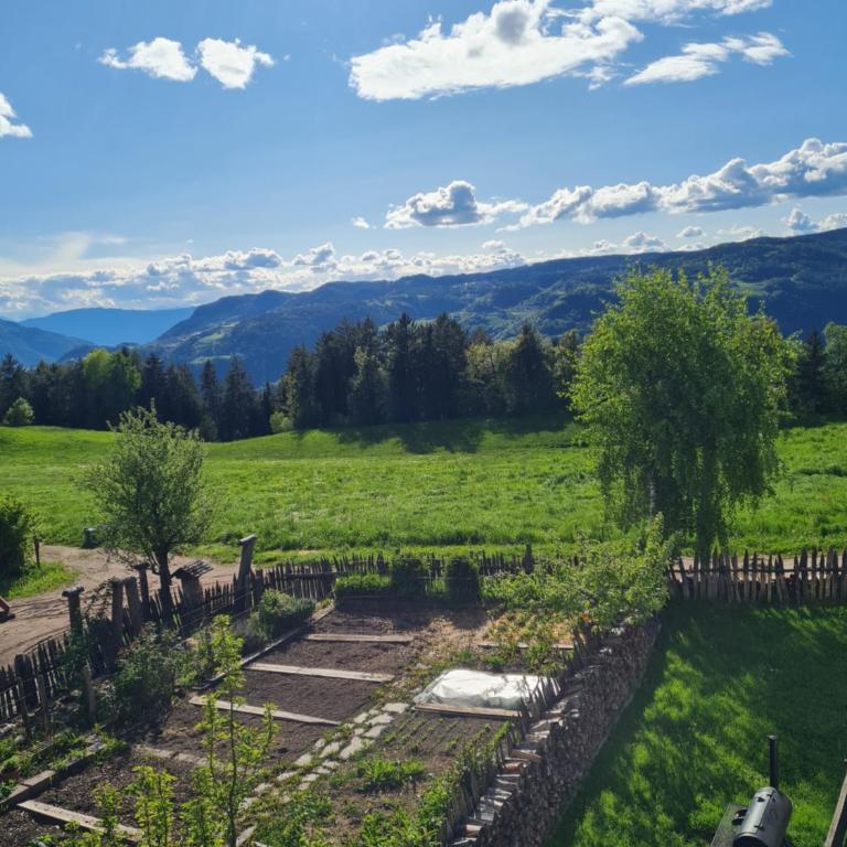 Salmsein Biohof - Appartamento con Vista Montagna - 1