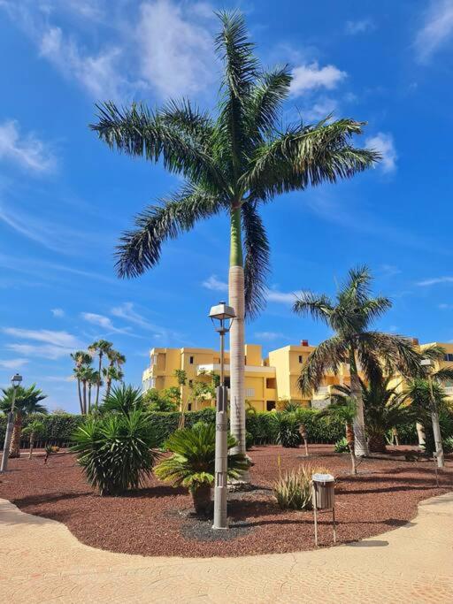 Homely Apt in Modern building with Pool - Apartamento de 1 dormitorio - 25