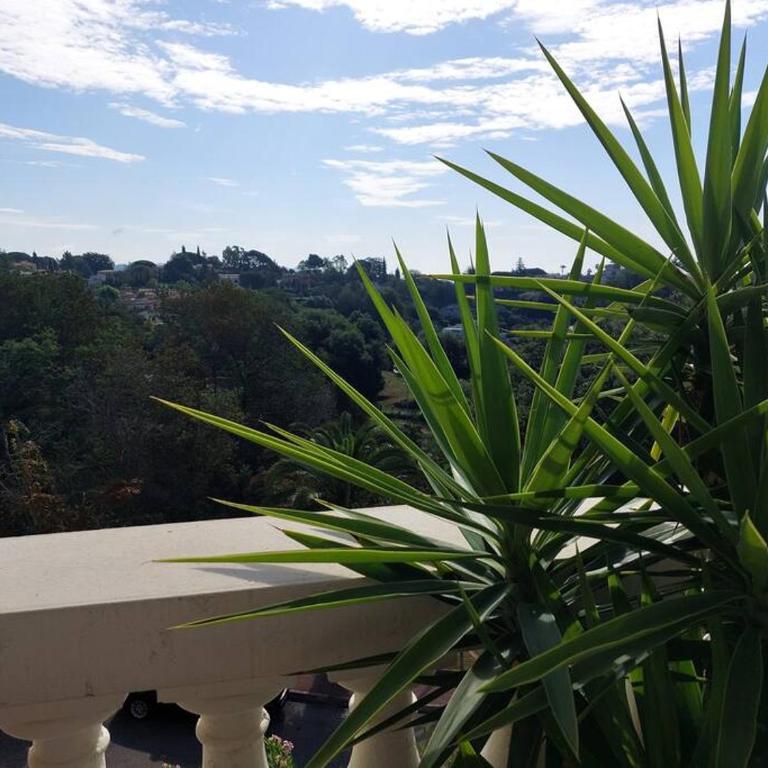 Studio BELLE VUE - Axelle Loc'Appart - Studio - 12