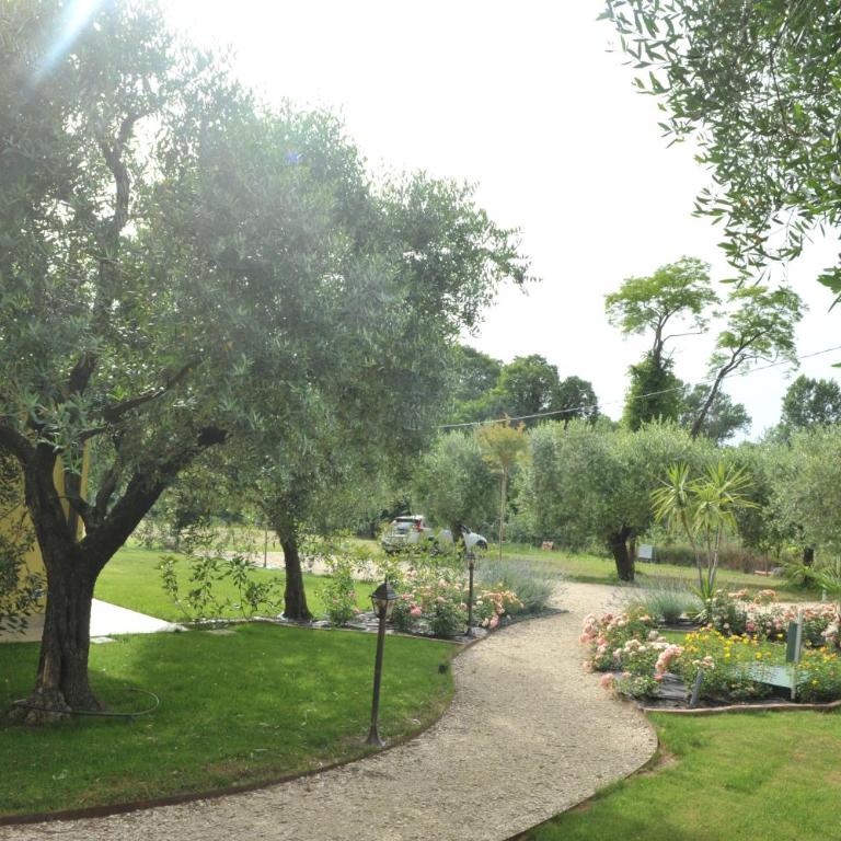 Paradiso degli Ulivi B&B - Camera Matrimoniale con Vista Giardino - 25