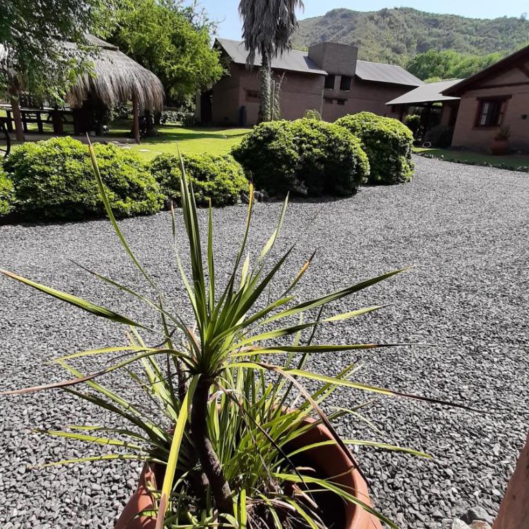 Cabañas Ranger - Chalet de 1 dormitorio - 14