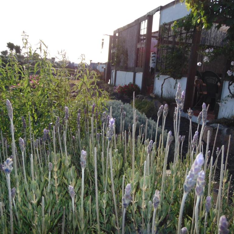 Casa Rural SoleaRio - Apartamento de 1 dormitorio - 15