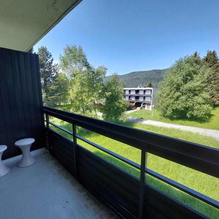 Appartement cosy à Autrans, 4 pers, balcon, skis et vélos - Studio - 7