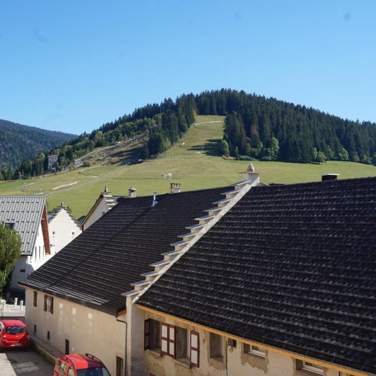 Appartement cosy au cœur d'Autrans, 4 pers, terrasse sud, animaux admis - Estudio - 1