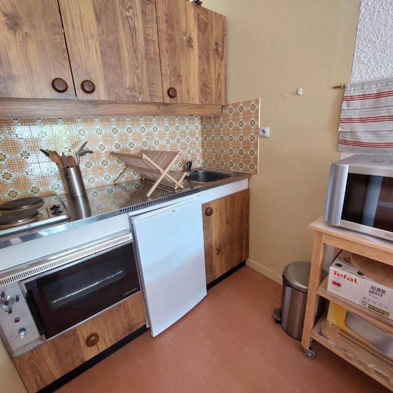 Appartement cosy à Autrans, 32m², proche pistes, 4 pers., parking inclus - Studio - 4