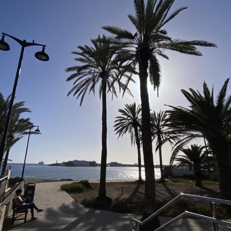 Canary Garden Sea Views by Deihu Experiences - Apartamento con vistas al mar - 39