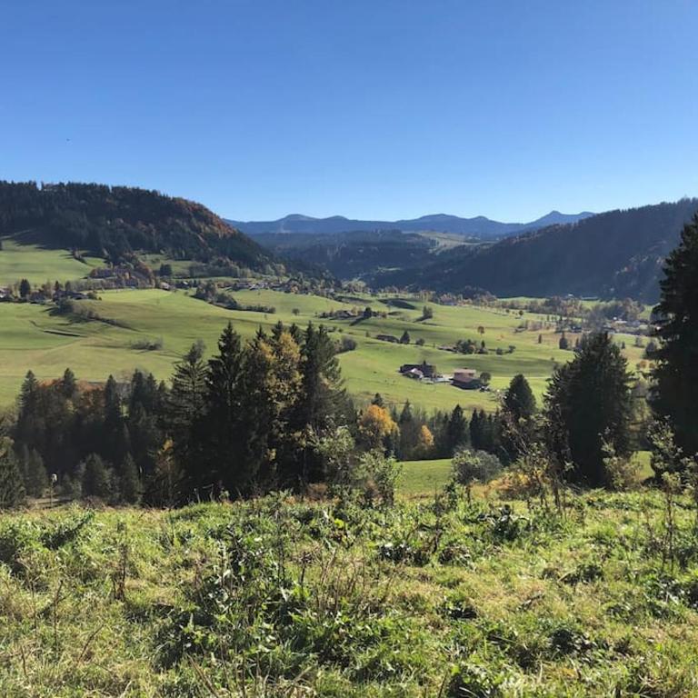 Almherzl - Hallenbad, Sauna, Bergblick, Ski, renoviert - Two-Bedroom Apartment - 24