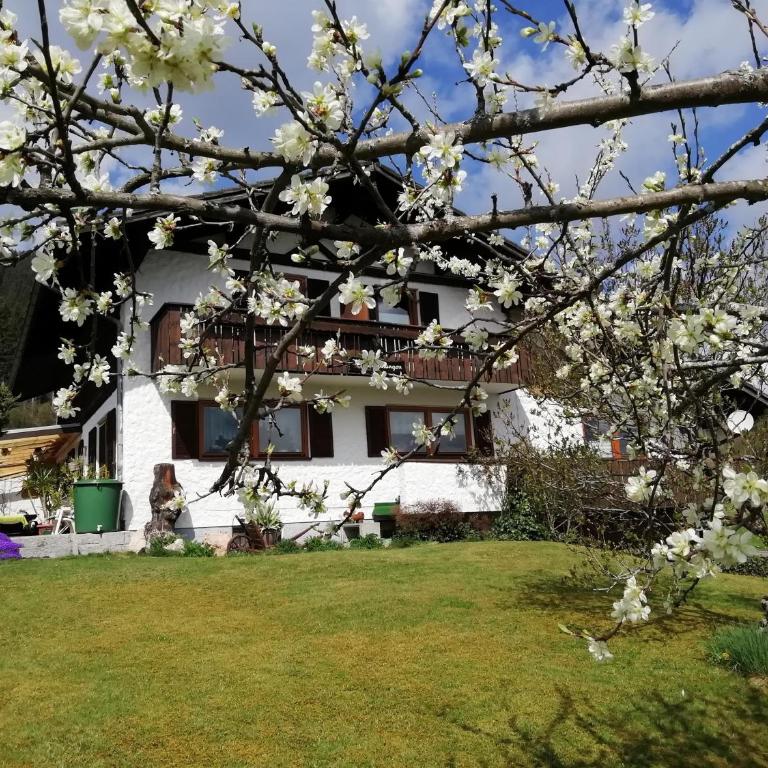 Haus Nöß - Apartment mit Blick auf die Berge - 5