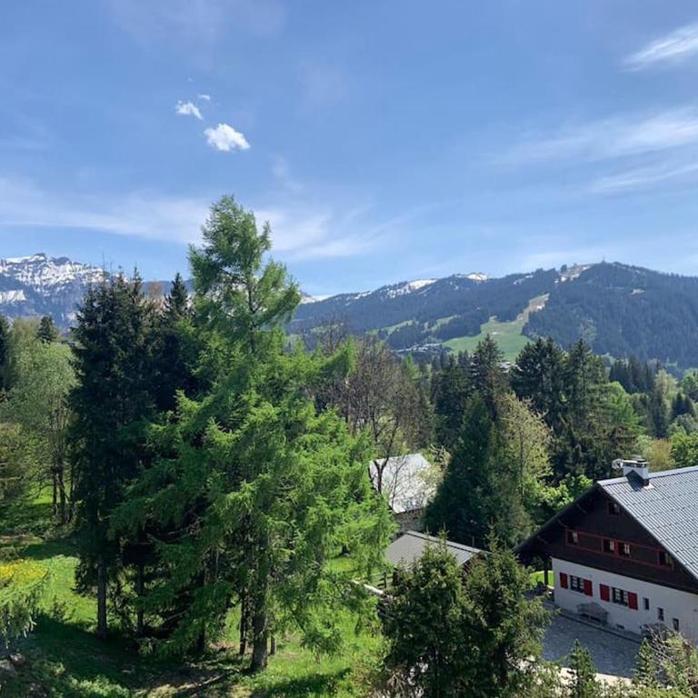 superbe appartement avec vue sur montagnes, calme - Appartement 3 Chambres - 5