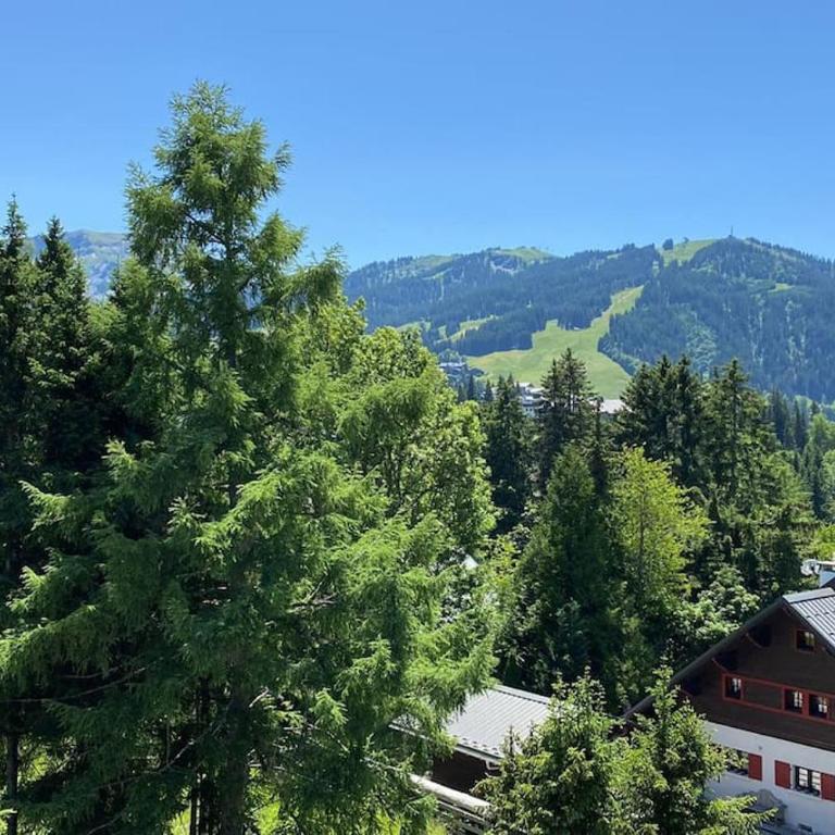 superbe appartement avec vue sur montagnes, calme - Appartement 3 Chambres - 17