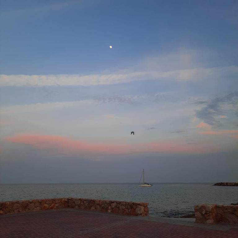 Apartamento frente al mar - Apartamento de 2 dormitorios - 24