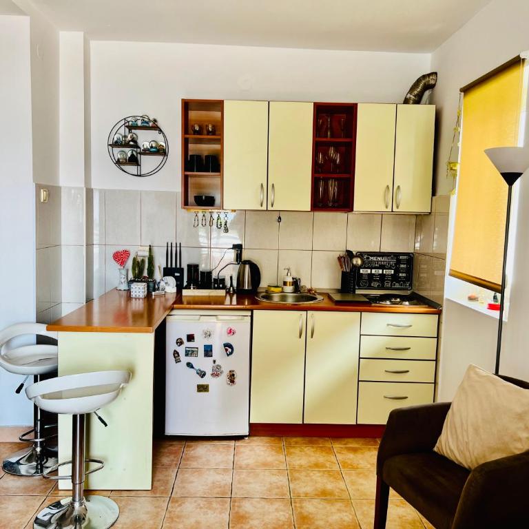 Milinovic apartmani3 - Apartman sa 1 Spavaćom Sobom - 4