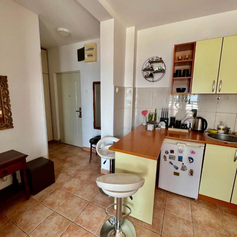 Milinovic apartmani3 - Apartman sa 1 Spavaćom Sobom - 5
