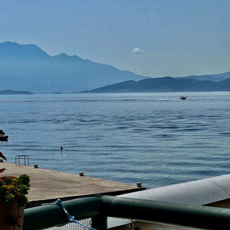 Milinovic apartmani3 - Apartman sa 1 Spavaćom Sobom - 6