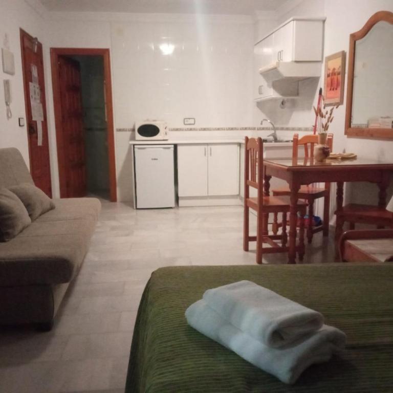 Apartamentos Pepe Mesa - Estudio con sofá cama - 11
