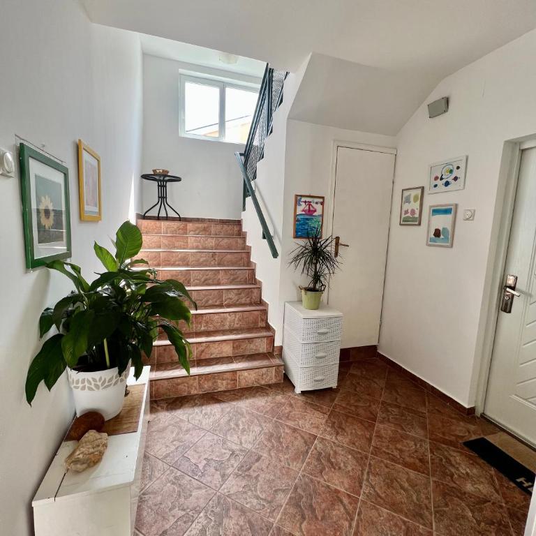 Milinovic apartmani3 - Apartman sa 1 Spavaćom Sobom - 10