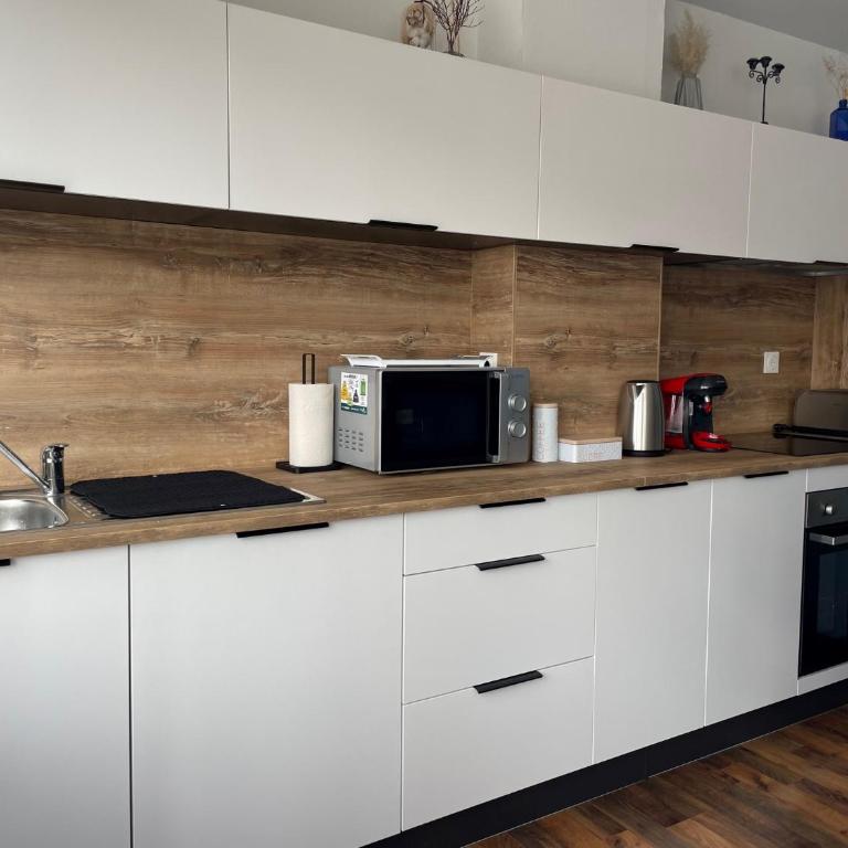 Goldfinger- appartement Malo-les-Bains - One-Bedroom Apartment - 4