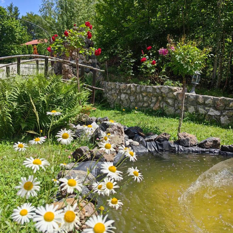 Zlatiborski Kutak - Apartman sa 1 Spavaćom Sobom - 9