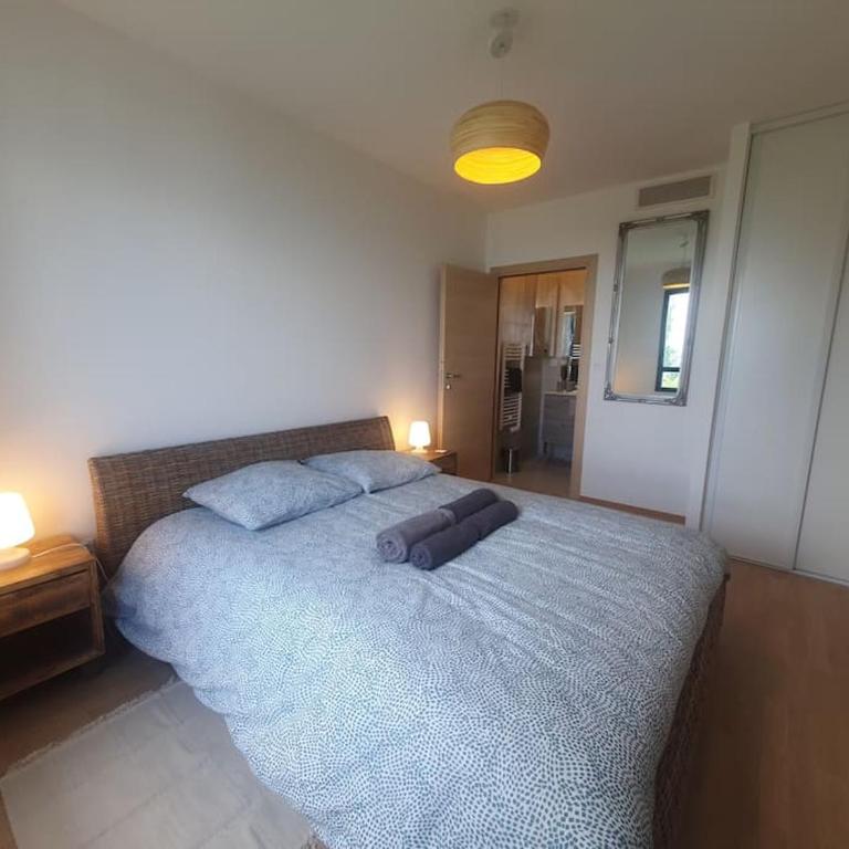 Superbe appartement Evian - Two-Bedroom Apartment - 14