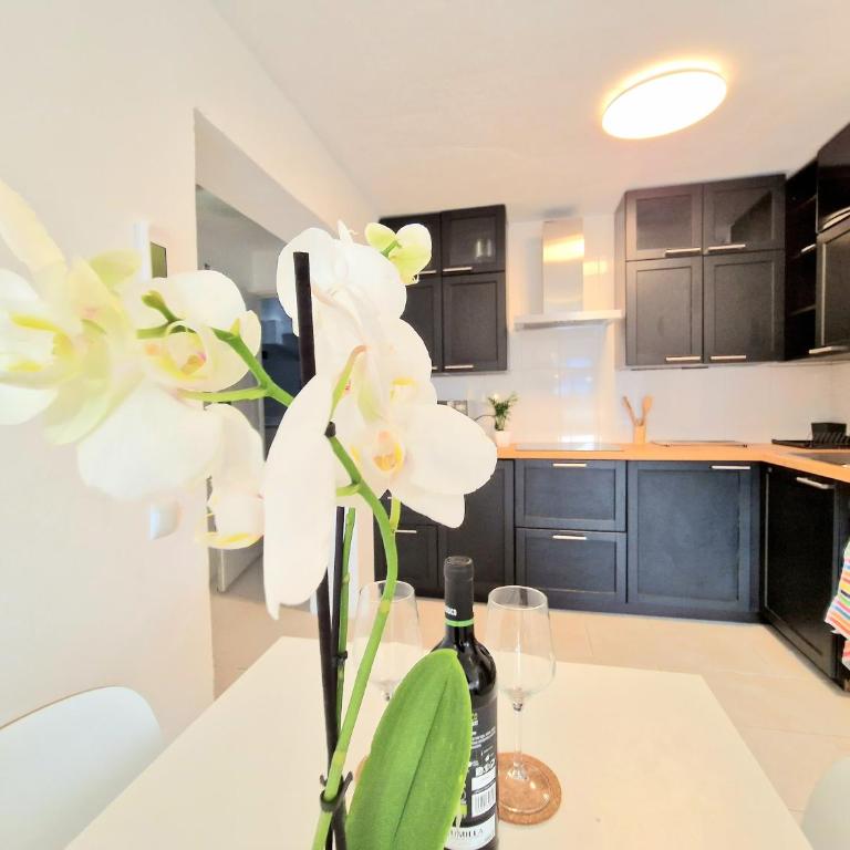 AA Guest - Piscis Mountain View Eco Apartment - One-Bedroom Apartment - 17
