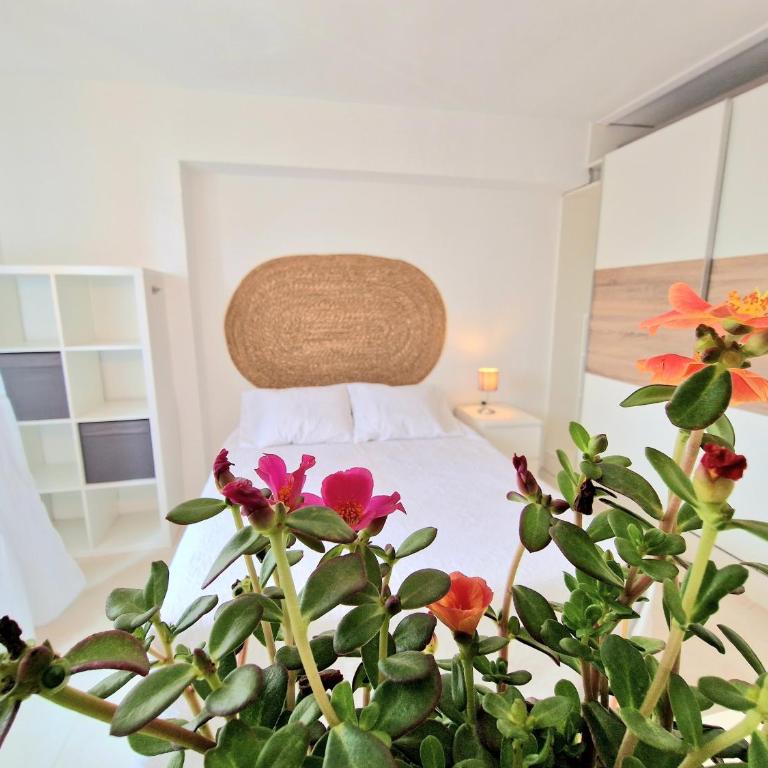 AA Guest - Piscis Mountain View Eco Apartment - One-Bedroom Apartment - 21