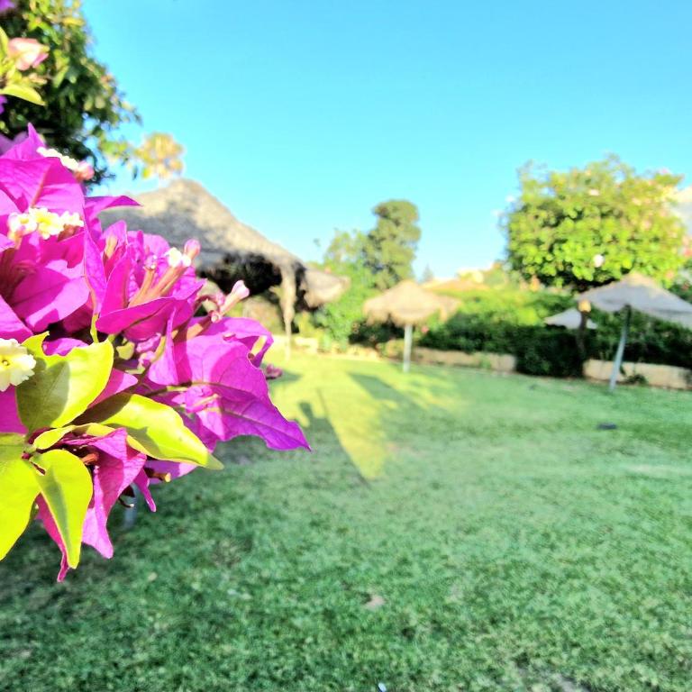 AA Guest - Piscis Mountain View Eco Apartment - One-Bedroom Apartment - 36