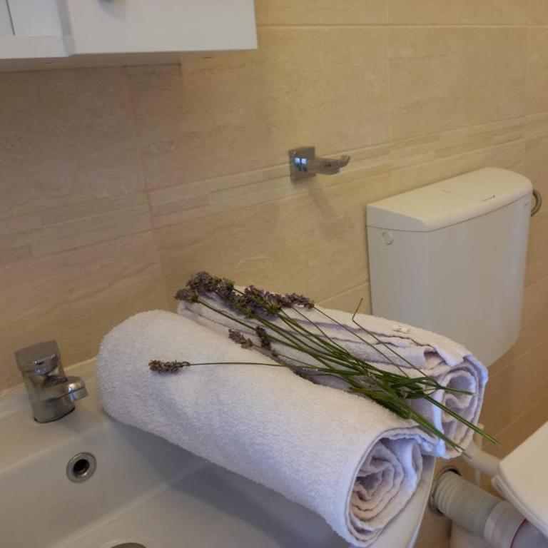 Apartments Verona - Apartman sa 1 Spavaćom Sobom - 35