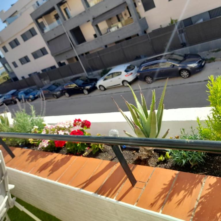 Apartamento Marisma del Guadalquivir - Apartamento - 6