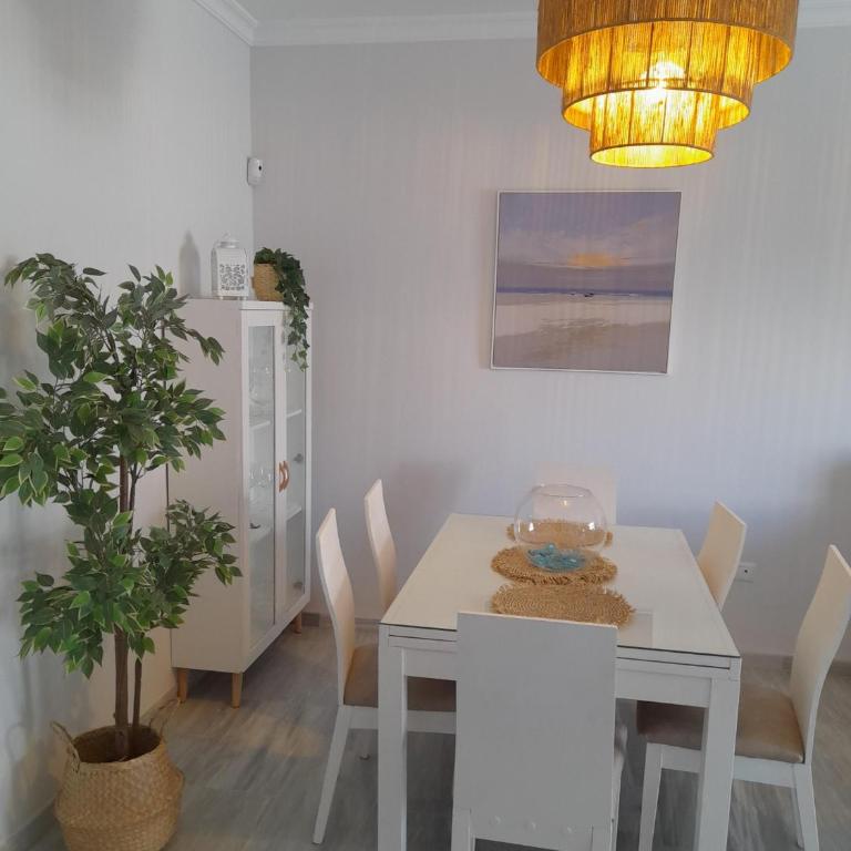 Apartamento Marisma del Guadalquivir - Apartamento - 11