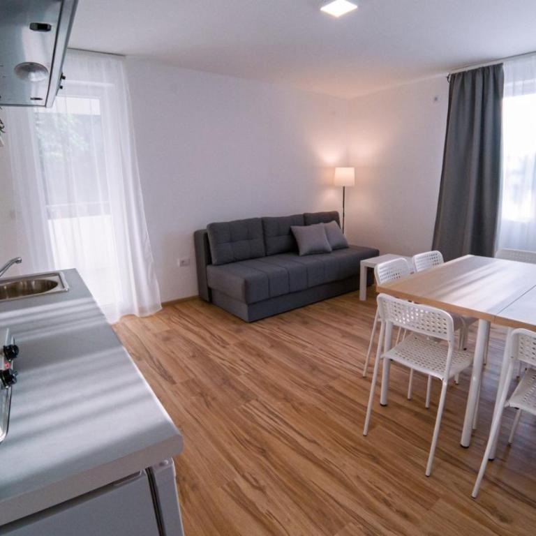 Smeštaj Milutinn - Apartman sa Terasom - 11