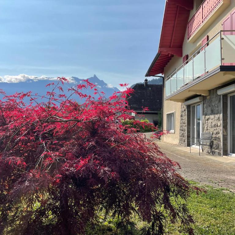 Les Dents-du-Midi - Apartment mit 2 Schlafzimmern - 21