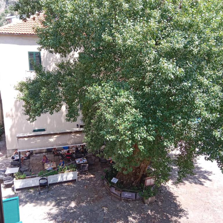 Centar Starog Grada - Large Double Room - 13