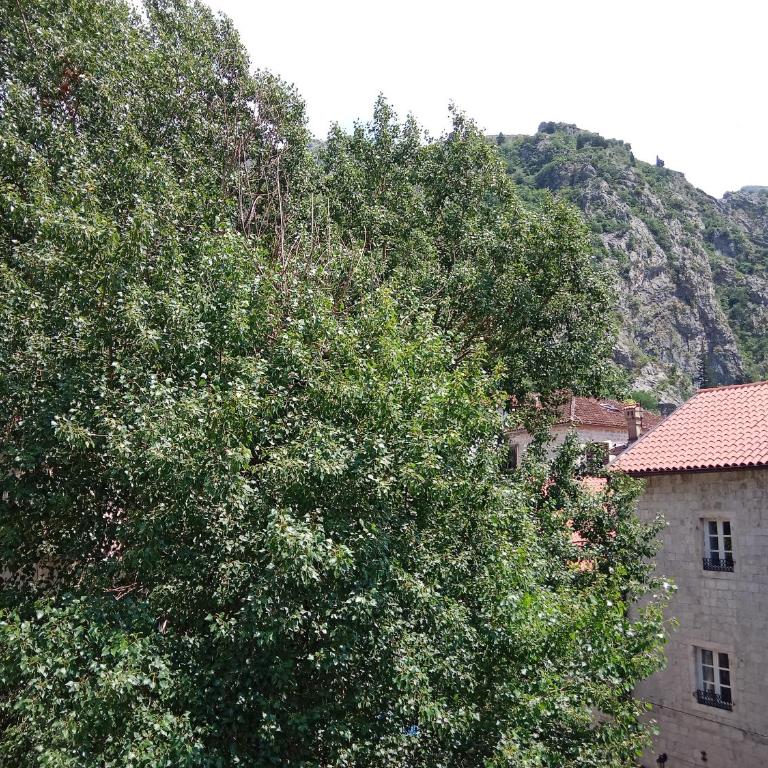 Centar Starog Grada - Large Double Room - 15